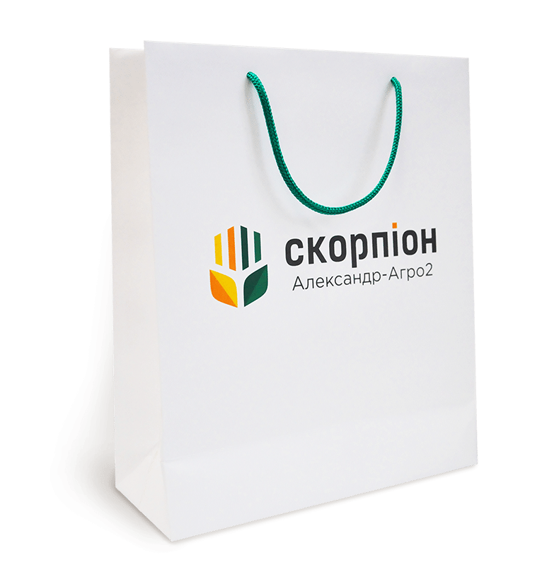 Друк картонних пакетів 270*330*110 мм